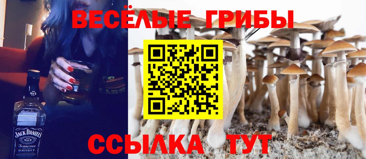 Галлюциногенные грибы MAGIC MUSHROOMS Белореченск